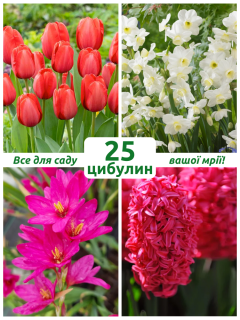 Мікс квітів Весняна симфонія (25 шт. в упаковці)