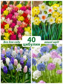 Мікс квітів Яскрава весна (40 шт. в упаковці)