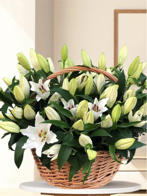 Лилия White Balloons