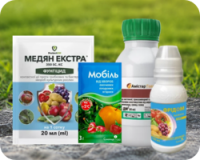 Засоби від мілдью, оідіуму
