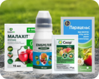 Засоби від парші