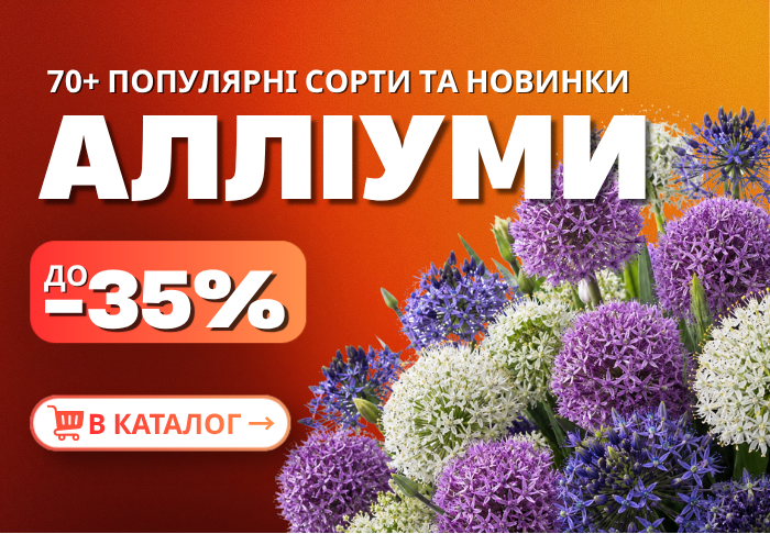 Алліуми