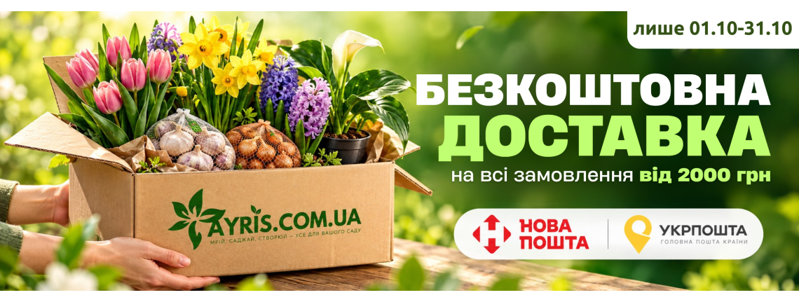 Кали в горщику