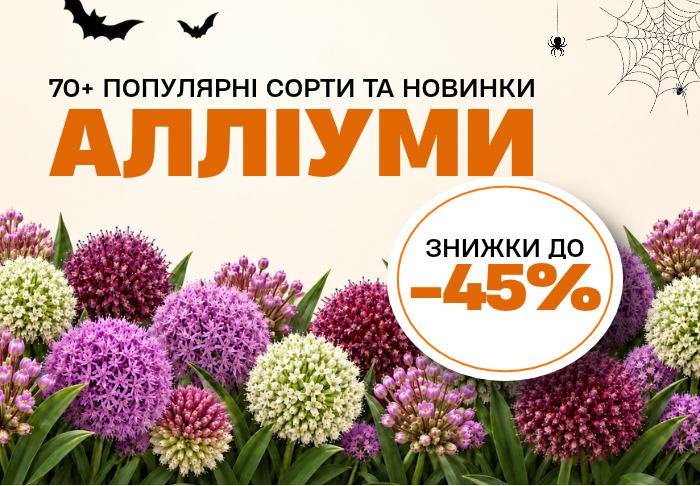 Алліуми
