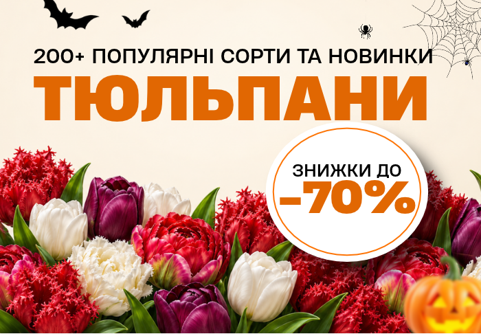 Тюльпани