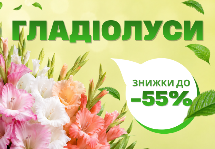 Гладіолуси 60+